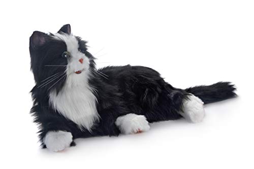 JOY FOR ALL - Black and White Tuxedo Cat - Interactive Companion Pets - Realistic and Lifelike