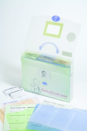 Baby Briefcase Baby Paperwork Organizer, Mint/Periwinkle