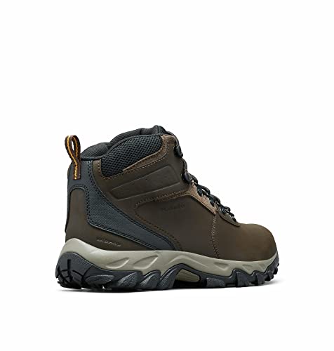 Columbia mens Newton Ridge Plus Ii Waterproof Hiking Boot, Cordovan/Squash, 12 US