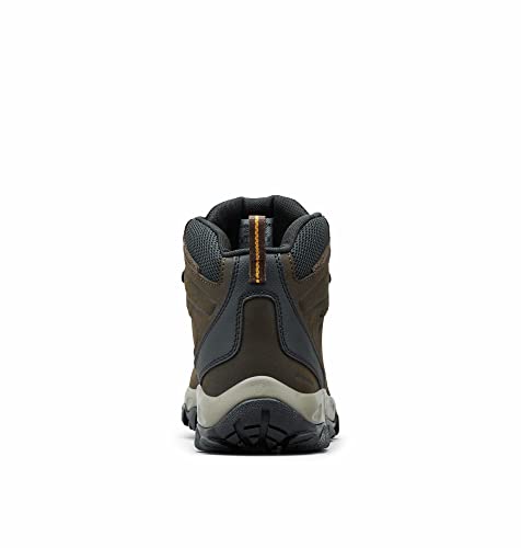 Columbia mens Newton Ridge Plus Ii Waterproof Boot Hiking Shoe, Cordovan/Squash, 9.5 US