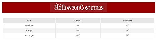 Fun World mens Costumes Noble Knight adult sized costumes, Multicolored, X-Large US