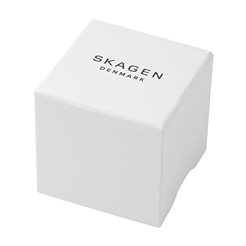 Skagen Women's Ancher Quartz Analog Stainless Steel and Mesh Watch, Color: Silver (Model: 358SSSD)