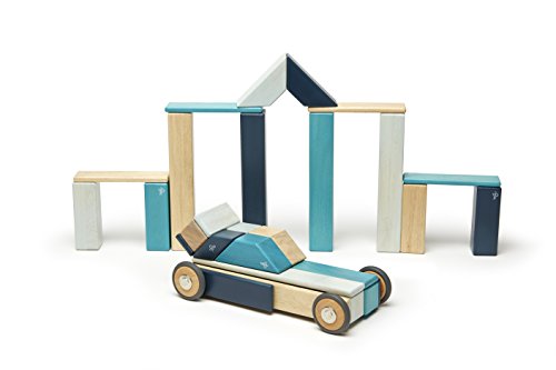 42 Piece Tegu Magnetic Wooden Block Set, Blues, 1-99 years old