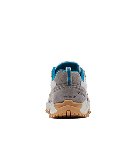Columbia Women's IVO Trail Waterproof Hiking Shoe, Dove/Siberia, 10 US