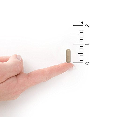 Garden of Life Zinc Supplements 30mg High Potency Raw Zinc and Vitamin C Multimineral Supplement, Vitamin Code Vitamins Trace Minerals and Probiotics for Skin Health and Immune Support, 60 Vegan Capsules