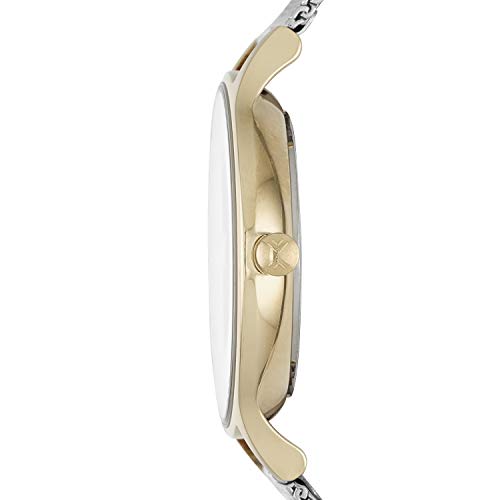 Skagen Women's Anita Quartz Analog Stainless Steel and Mesh Watch, Color: Gold/Silver (Model: SKW2340)