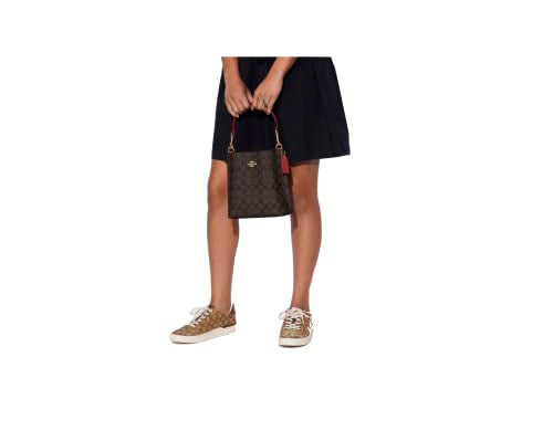 COACH Mollie Bucket Bag 22 (IM/Brown 1941 Red)