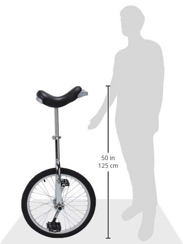 Fun 20 Inch Wheel Unicycle with Alloy Rim, Red