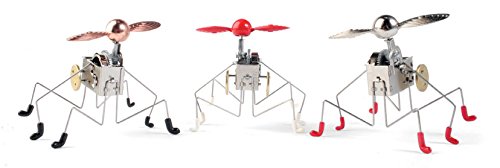 Pintacuda Windup (Colors May Vary)