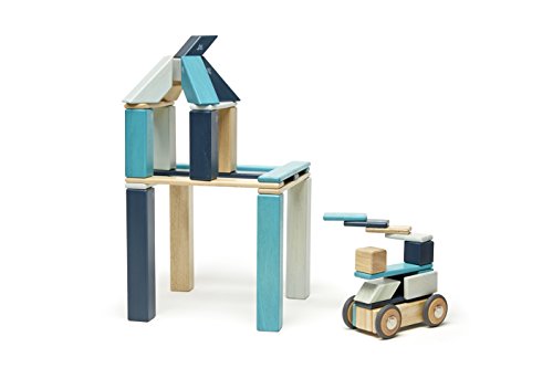 42 Piece Tegu Magnetic Wooden Block Set, Blues, 1-99 years old