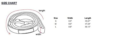 Puppia Two Tone Dog Lead Strong Durable Comfortable Grip Walking Training Leash for Small and Medium Dog, Pink, Medium