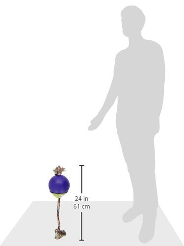 Jolly Pets Romp-n-Roll Rope and Ball Dog Toy, 6 Inches/Medium, Blue