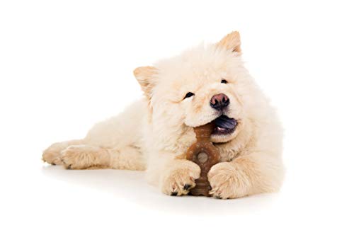 Nylabone Puppy Chew Ring Bone Chicken Medium/Wolf (1 Count)