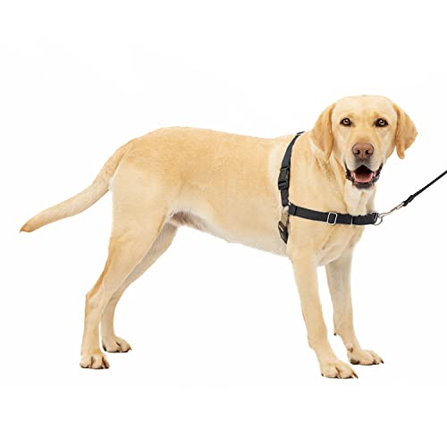 PetSafe Easy Walk No-Pull Dog Harness - The Ultimate Harness to Help Stop Pulling - Take Control and Teach Better Leash Manners - Helps Prevent Pets Pulling on Walks - Large, Black/Silver