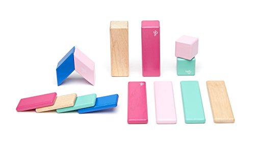 14 Piece Tegu Magnetic Wooden Block Set, Blossom
