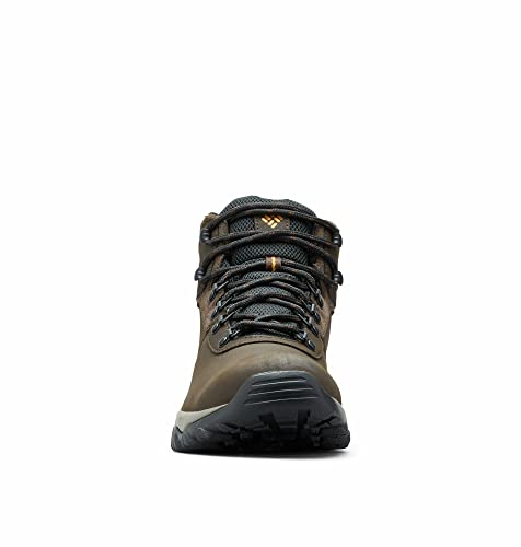 Columbia mens Newton Ridge Plus Ii Waterproof Hiking Boot, Cordovan/Squash, 11 US
