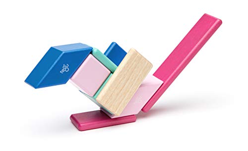 14 Piece Tegu Magnetic Wooden Block Set, Blossom