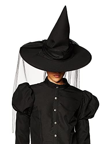 InCharacter Wretched Witch Adult Costume, X-Large