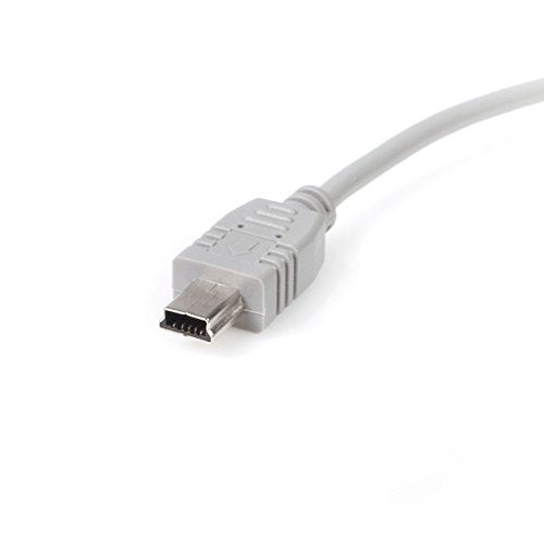 StarTech.com 1 ft. (0.3 m) USB to Mini USB Cable - USB 2.0 A to Mini B - Gray - Mini USB Cable (USB2HABM1)