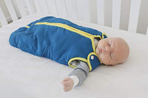 Baby Deedee Sleep Nest Sleeping Sack, Warm Baby Sleeping Bag fits Newborns and Infants,Medium (6-18 Months)