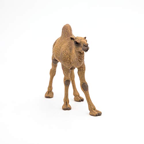Papo -Hand-Painted - Figurine -Wild Animal Kingdom - Dromedary -50151 -Collectible - for Children - Suitable for Boys and Girls- from 3 Years Old