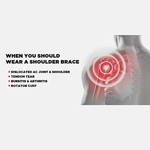 EVS Sports SB04 Shoulder Brace (Medium)