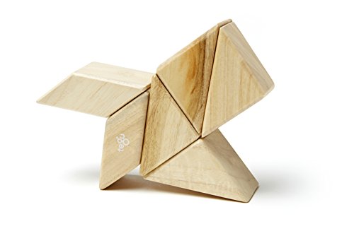 6 Piece Tegu Pocket Pouch Prism Magnetic Wooden Block Set, Natural