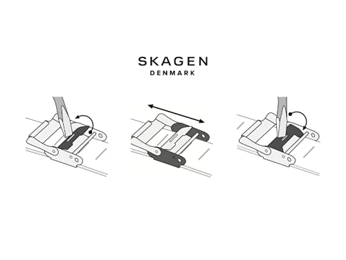 Skagen Women's Anita Quartz Analog Stainless Steel and Mesh Watch, Color: Gold/Silver (Model: SKW2340)