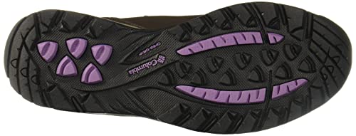 Columbia womens Newton Ridge Plus Waterproof Hiking Boot, Cordovan/Crown Jewel, 9 US
