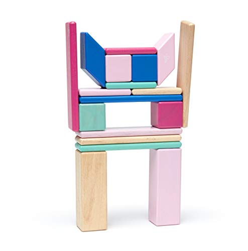 24 Piece Tegu Magnetic Wooden Block Set, Blossom, 1-99 years old