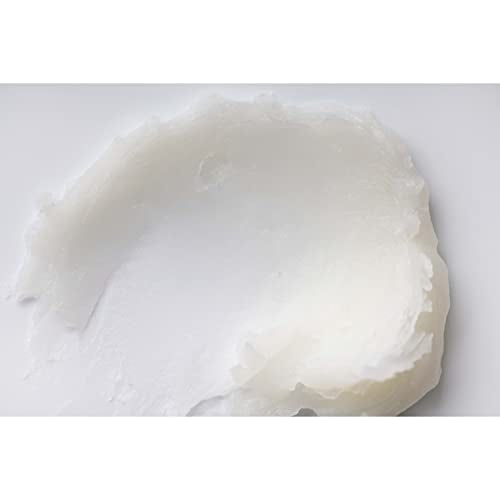 Burt's Bees Mothers Day Lip Balm Gifts for Mom, Moisturizing Lip Care, for All Day Hydration, 100% Natural, Strawberry (2 Pack)