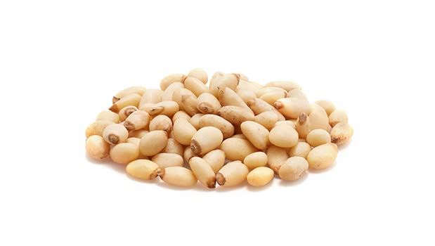 Yupik Pine Nuts AA, 2.2 lb