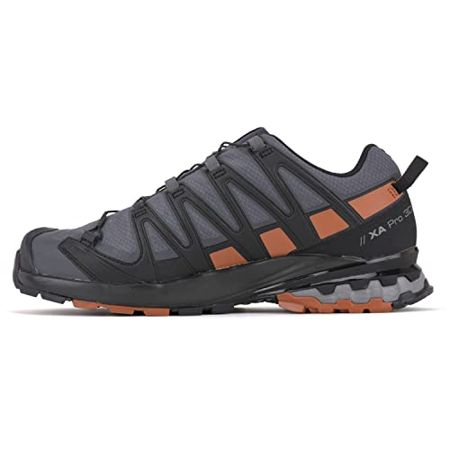 Salomon Men's XA PRO 3D v8 Gore-TEX Trail Running Shoes, Ebony/Caramel Cafe/Black, 10 Wide
