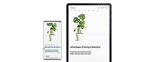 SAMSUNG Galaxy Tab S6 Lite 10.4” 128GB Android Tablet w/ Long Lasting Battery, S Pen Included, Slim Metal Design, AKG Dual Speakers, US Version, Chiffon Rose