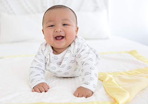 Black 3-6 Months SwaddleDesigns Baby Infant Cotton Gown with Mitten Foldover Cuffs, Tiny Hedgehogs