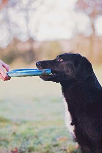 ChuckIt! Zipflight Flyer Dog Frisbee Toy Floats; Gentle On Dog's Teeth And Gums; Glow In The Dark Medium