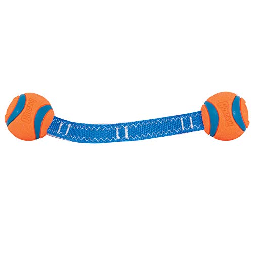 Chuckit! Ultra Duo Dog Tug Toy, Small Indoor and Outdoor Dog Toy