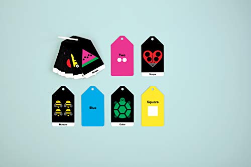 Mudpuppy Little Learner Ring Flash Cards for Kids – 26 Double-Sided Early Learning Flash Cards on a Reclosable Ring to Teach Colors, Shapes, and Numbers – Learning Games for Toddlers and Preschoolers