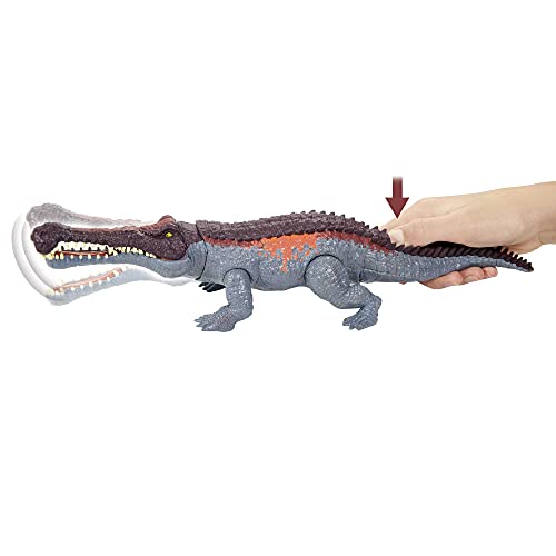 Jurassic World Toys Massive Biters Sarcosuchus Larger-Species Dinosaur Action Figure, Tail-Activated Strike and Chomp Action