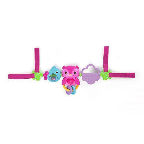 Bright Starts Busy Birdies Carrier Toy Bar Musical Take-Along Toy with Lights, Ages Newborn +, Pink