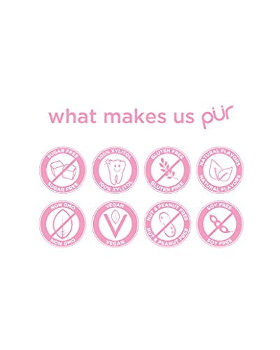 PUR Gum | Sugar Free Chewing Gum | 100% Xylitol | Vegan, Aspartame Free, Gluten Free and Keto Friendly | Natural Bubblegum Flavored Gum, 9 Pieces (Pack of 12)
