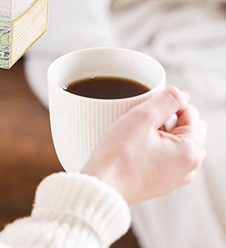 Taylors of Harrogate Yorkshire Gold, 160 Teabags