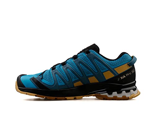 Salomon XA PRO 3D v8 Trail Running Shoes for Men, Barrier Reef/Fall Leaf/Bronze Brown, 9