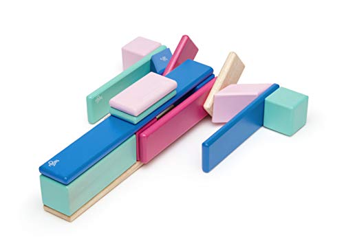 24 Piece Tegu Magnetic Wooden Block Set, Blossom, 1-99 years old