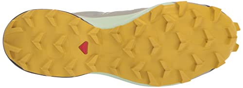 Salomon Speedcross 5 Gore-TEX Trail Running Shoes for Women, Wrought Iron/Spray/Antique Moss, 6