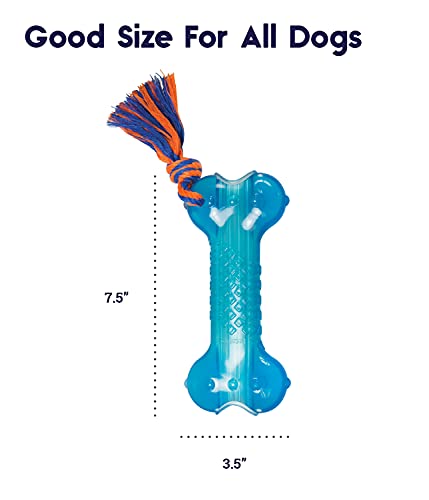 Petstages Orka Bone Royal Blue Treat-Dispensing Dog Chew Toy