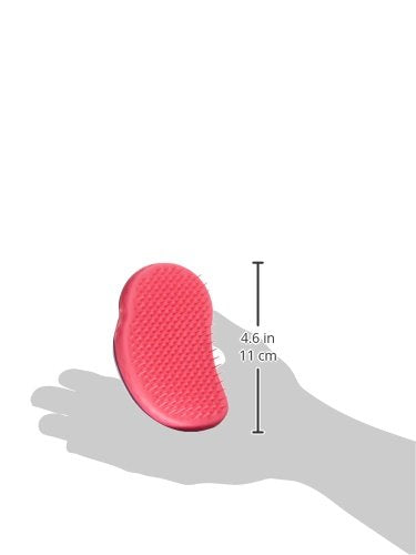 Tangle Teezer Brush (purple)