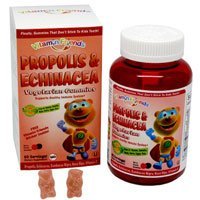 Vitamin Friends Elderberry Vitamin C Immune Gummies - Vegan Immune System Support Vitamins – Zinc Citrate, Elderberry and Vitamin D – Advanced Immune Support– 60 Day Supply – 2 Pack