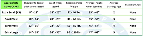 Ride Safer Travel Vest with Zipped Backpack-Wearable, Lightweight, Compact, and Portable Car Seat. Perfect for Everyday use or Rideshare, Travel, and Taxi/Uber/Lyft/Rental Car. (X-Large/Black)