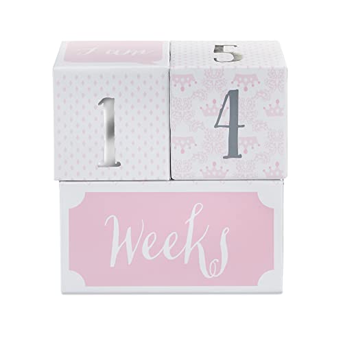 Baby Aspen My First Milestone Princess Age Blocks | Baby Picture Props for Photo Sharing The First Year